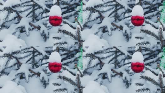 户外圣诞树的照片高清在线视频素材下载
