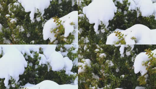 雪的风景高清在线视频素材下载