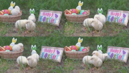 附近的小鸡写着“复活节快乐”高清在线视频素材下载