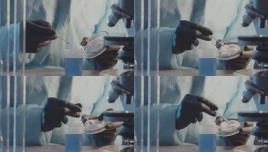 一位戴着防护橡胶手套的实验室助理在皮氏培养皿的棉垫上拍摄蓝色液体样本的特写镜头。在实验室设备的背景下。高清在线视频素材下载