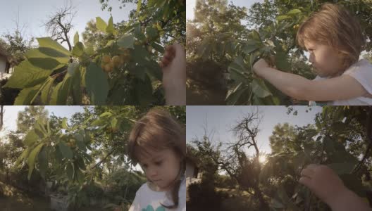 小女孩摘了一颗樱桃。POV, Lens Flair, Dreamy Look, Slow Motion。高清在线视频素材下载