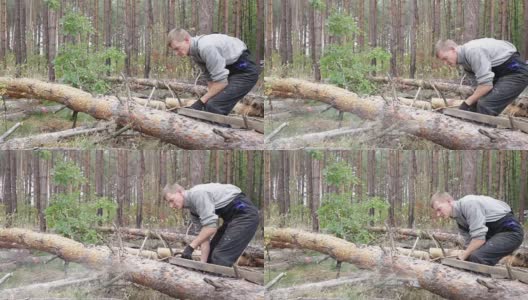 伐木工人正在用链锯锯树。高清在线视频素材下载