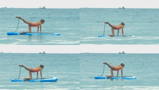 年轻女子摆好姿势，在海上的桨板上平衡猫高清在线视频素材下载