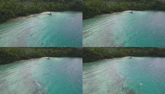 空中浮潜者在斐济高清在线视频素材下载