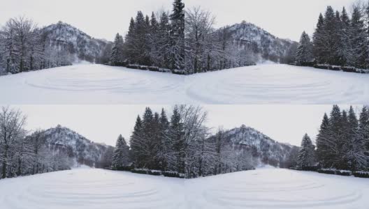 在多云的冬天，在松树林附近的高山积雪覆盖的田野上向前的航拍。欧洲阿尔卑斯山户外自然景观雪山野生建立。4k无人机飞行建立镜头高清在线视频素材下载