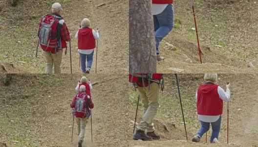 在森林中徒步旅行的老人高清在线视频素材下载