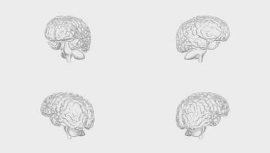 人脑3D，无缝循环高清在线视频素材下载