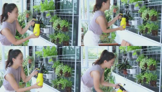 亚洲妇女园丁在家里的花园里给植物浇水。高清在线视频素材下载