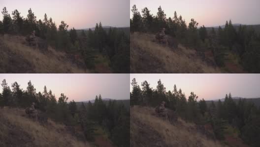 一对认真的猎人正在树林里跟踪他们的猎物高清在线视频素材下载