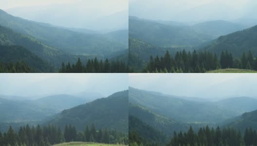 罗马尼亚喀尔巴阡山脉的风景秀丽的山地松林景观高清在线视频素材下载