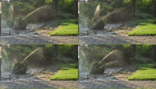 洒水喷头喷洒水。灌溉的概念。花园浇水。高清在线视频素材下载