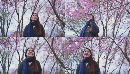 美丽的亚洲妇女步行与野生喜马拉雅樱花盛开在春天的花园高清在线视频素材下载
