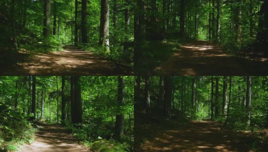 通过Spring Forest的万向节(4K/UHD to HD)高清在线视频素材下载
