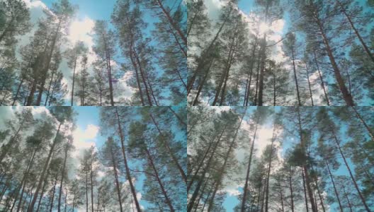 慢镜头:车窗外的森林高清在线视频素材下载