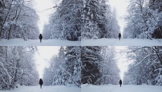 一个女人走在雪林里高清在线视频素材下载