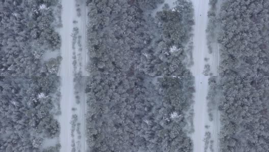 从无人机鸟瞰积雪覆盖的冬季松树林。松树的树枝上结满了霜高清在线视频素材下载
