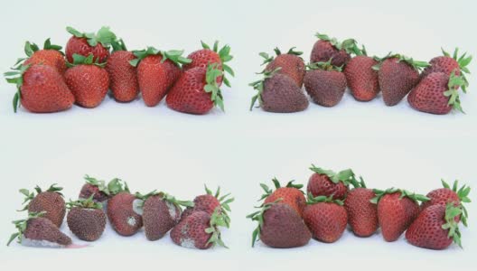 腐烂的草莓高清在线视频素材下载