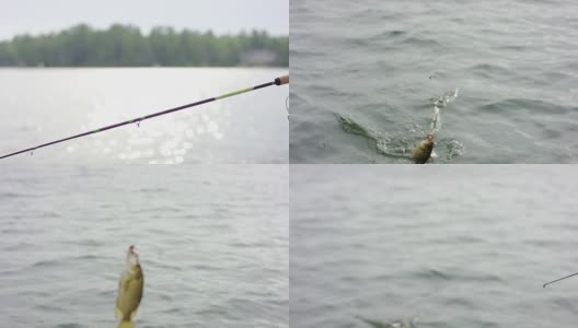 假期在湖边钓鱼高清在线视频素材下载