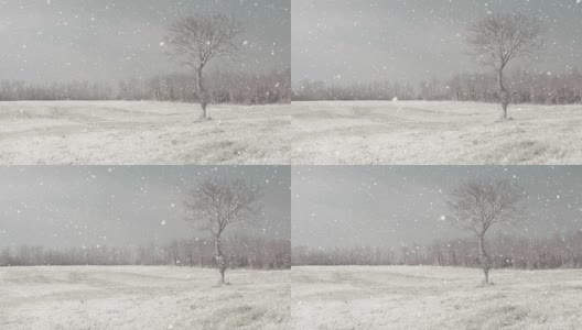 高清:下雪的冬天的风景高清在线视频素材下载