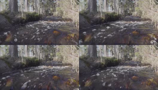 侧面的视频，融化的雪水在森林小溪流经斯堪的纳维亚森林。阳光明媚的春日。长时间曝光，使水流顺畅。瑞典,欧洲。原来的流水声高清在线视频素材下载