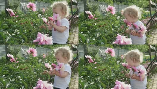 小女孩在闻一朵花。高清在线视频素材下载
