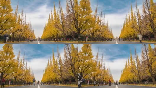 4K延时:行人拥挤的延时:日本东京Aoyama Meiji Jingu Garden, Apple ProRes 422 (HQ) 3840x2160格式高清在线视频素材下载