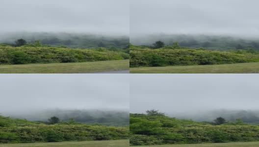 蓝岭公园路雾和山中的树木高清在线视频素材下载