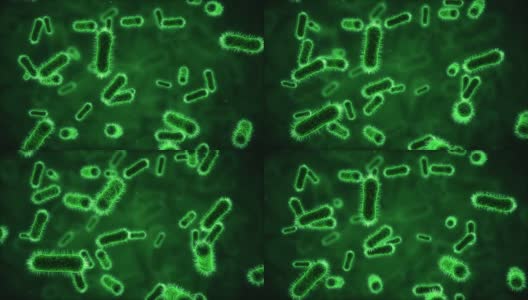 显微镜下的细菌呈绿色高清在线视频素材下载
