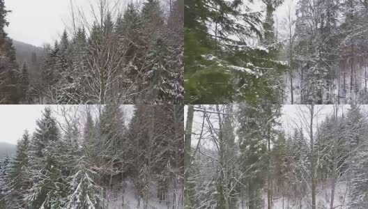 航拍:冰雪覆盖的冬日森林。高清在线视频素材下载