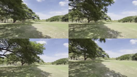 绿色的草地庭院和树木在公共公园高清在线视频素材下载