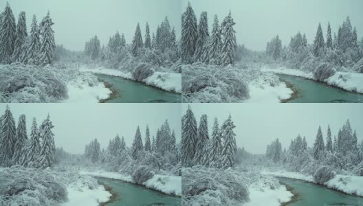 绿松石河与树在雪高清在线视频素材下载