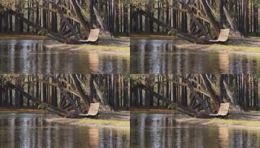 美丽的秋天森林公园的风景，阳光下的木椅，树叶飘落在宁静的湖面上，可循环播放4k慢动作镜头。高清在线视频素材下载