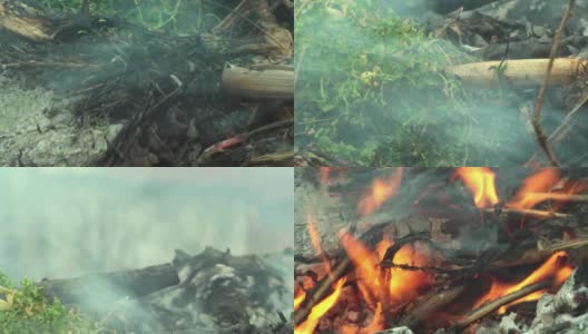 烟，干树枝燃烧，火燃烧。燃烧的木炭高清在线视频素材下载