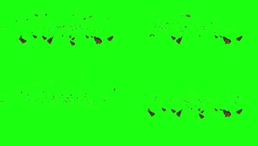 成群的蝴蝶在绿色屏幕上飞舞高清在线视频素材下载