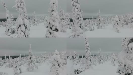 芬兰拉普兰航空镜头-大雪森林高清在线视频素材下载