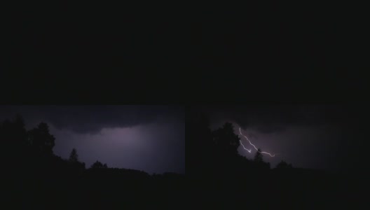 夜间落叶林上空的闪电高清在线视频素材下载