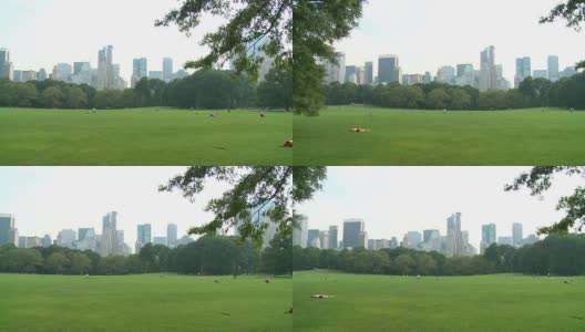 高清:中央公园高清在线视频素材下载