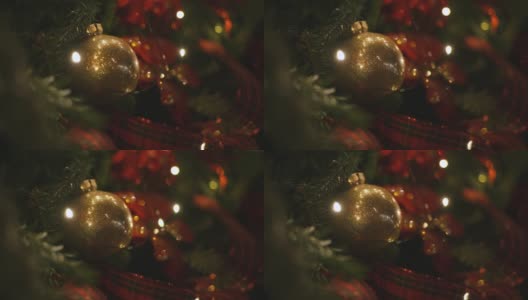 美丽的绿色树枝的冬季冷杉树与神奇的节日彩灯圣诞装饰高清在线视频素材下载