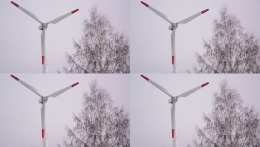 螺旋桨式风力涡轮机一动不动地停在树后高清在线视频素材下载