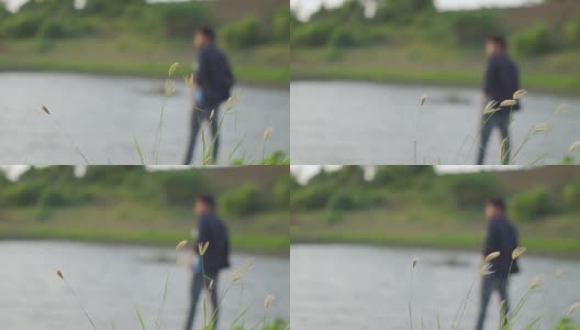 日落时湖边草地的特写镜头。自然背景高清在线视频素材下载