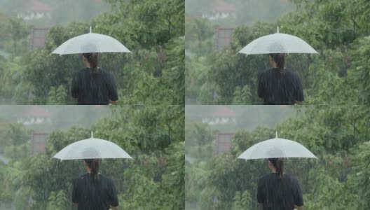 一个女人撑着伞站在雨中高清在线视频素材下载