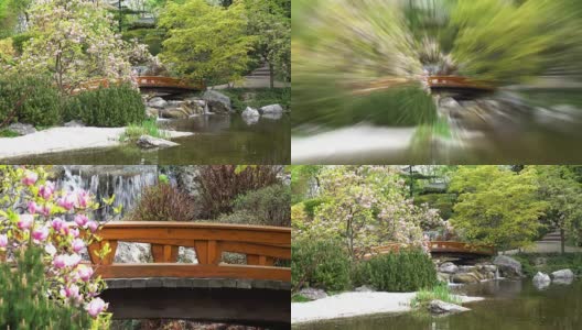 日本花园与超级缩放效果高清在线视频素材下载