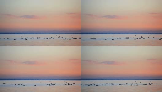 青海湖的黎明，中国高清在线视频素材下载