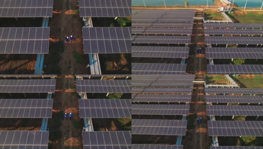 鸟瞰图，男男女女蓝领工人在渔场附近的太阳能电池板农场之间的一条小线上行走高清在线视频素材下载