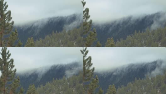 不祥的雾滚滚进入茂密的森林山谷。高清在线视频素材下载