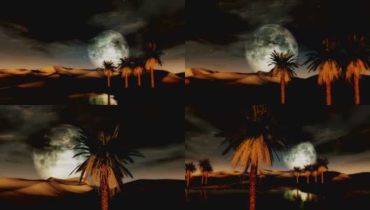 满月日落沙漠绿洲与棕榈树和沙丘高清在线视频素材下载