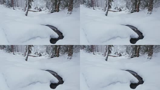Teletskoe湖岸边的Tevenek(第三河)河边的冬季针叶林被大雪覆盖高清在线视频素材下载