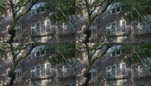 白天拍摄的高档纽约公寓大楼的窗户高清在线视频素材下载