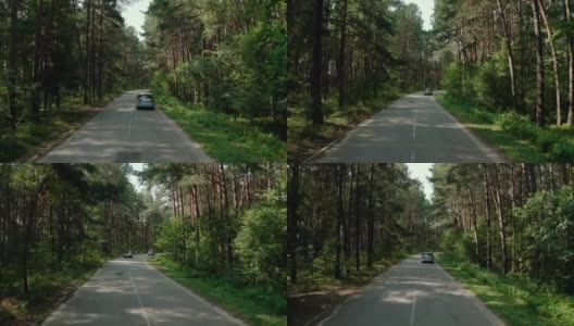 蓝色的汽车行驶在穿过松林的路上。宽视图画面高清在线视频素材下载