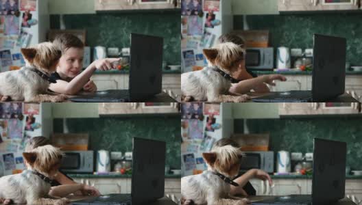 一个7-9岁的白人男孩带着一只约克夏梗犬坐在笔记本电脑屏幕前。孩子坐在狗狗旁边，通过视频交流。在家与宠物进行远程学习。高清在线视频素材下载